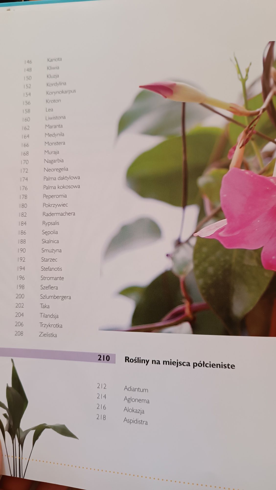Encyklopedia roślin pokojowych