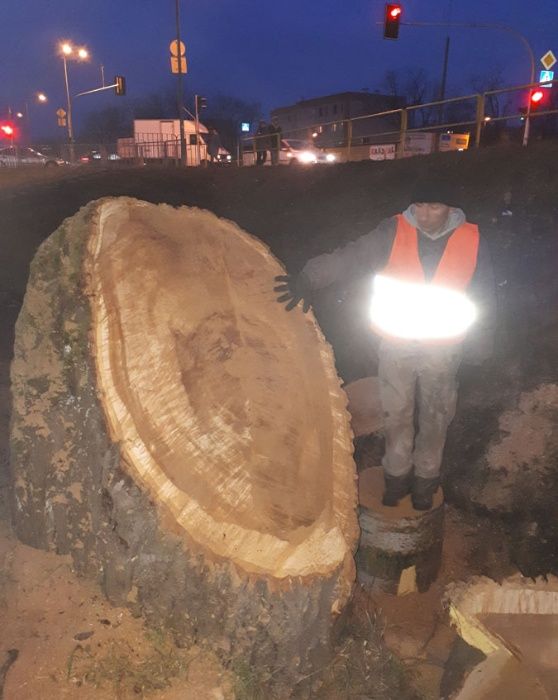 Wycinka drzew, czyszczenie działek, Usługa rębakiem. Podnośnik koszowy