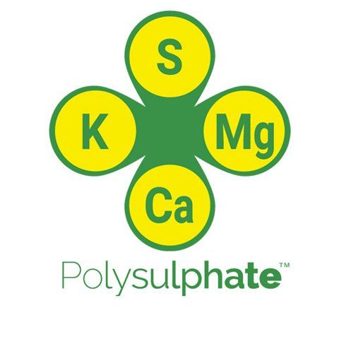 Kizeryt /POLYSULPHATE 48% So3, 14% K2O, 6%MgO, 17%CaO, RID Widawa