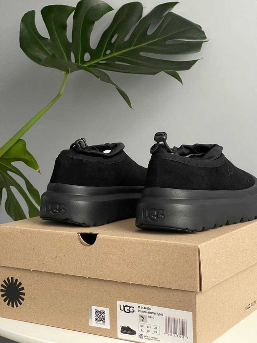 Чоловічі натуральні уггі UGG Tasman Hybrid Chestnut Blue (36-45 р.)