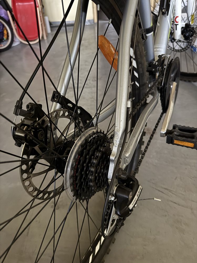 Rower górski Raleigh Storm 2.0 Disc