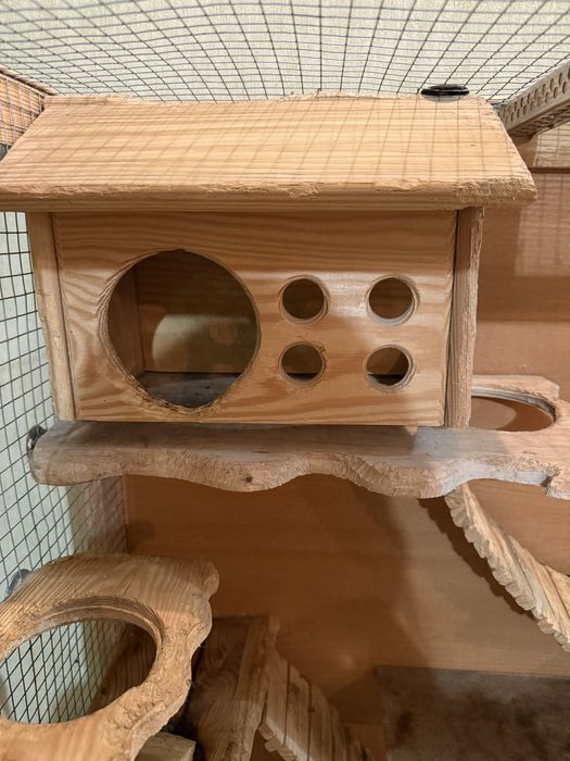 Клітка вітрина для дегу