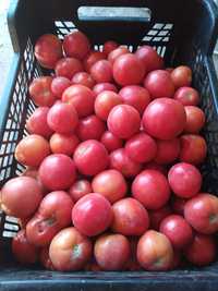 Pomidory na przecier malinowe