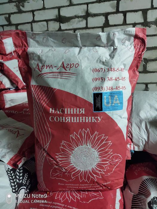 Насіння соняшнику Неймар плюс