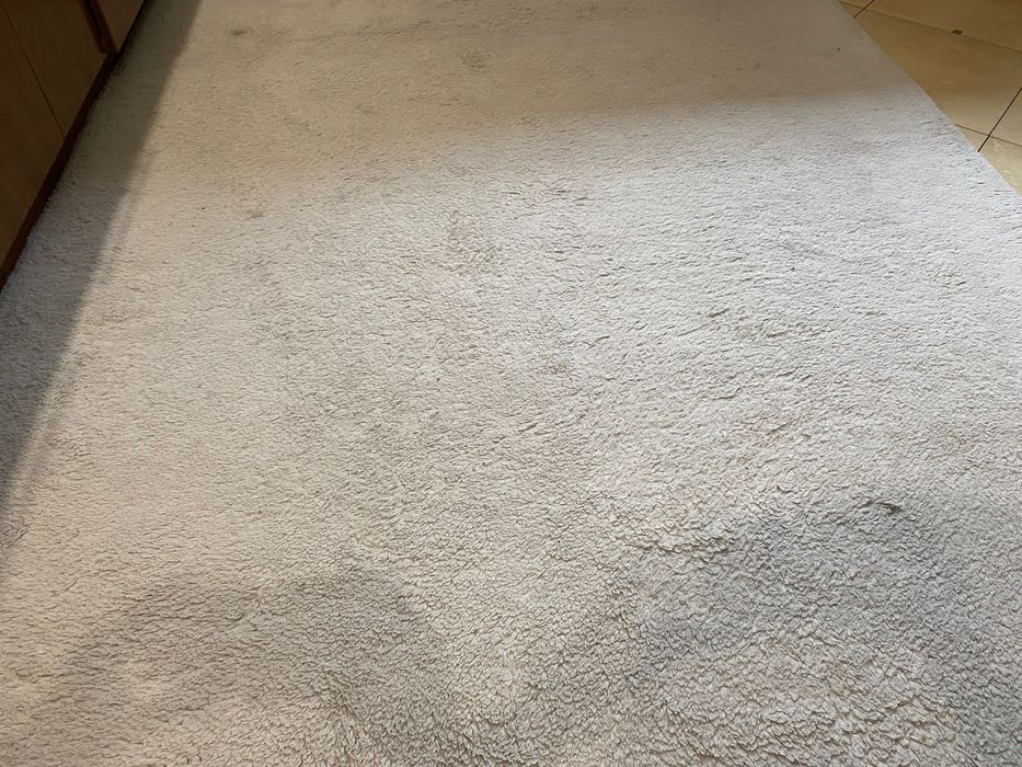 Dywan rabbit 160x230