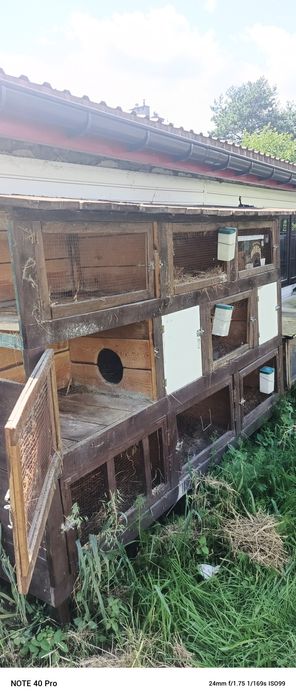 Klatka dla królików