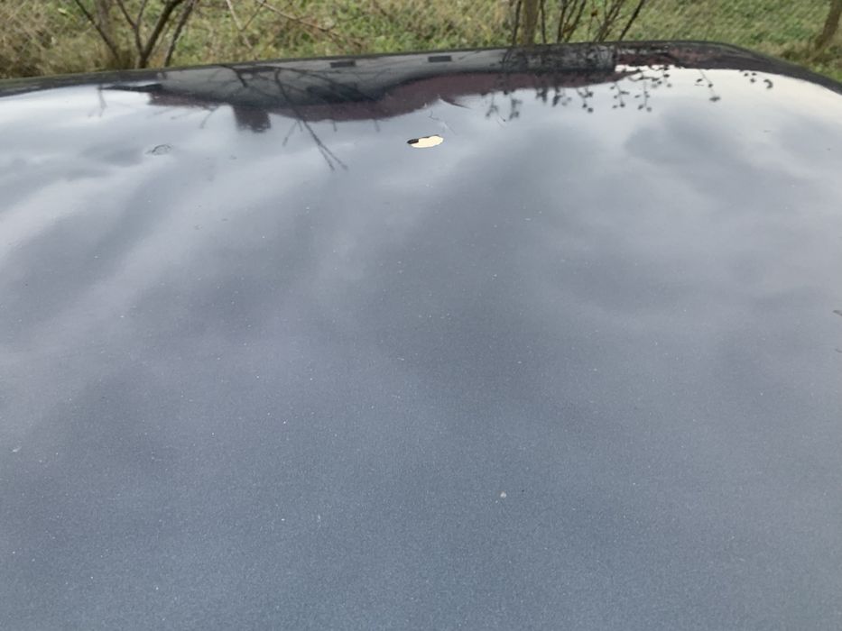 21099. Робоча конячка кому не на красу а для роботи