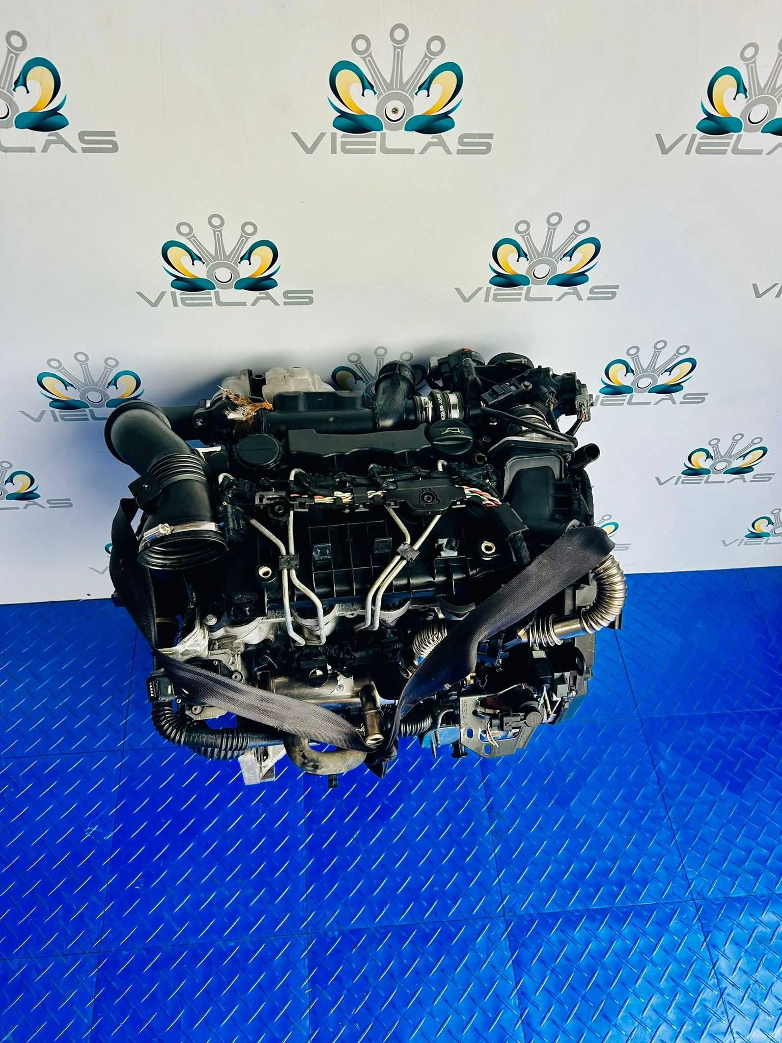 Motor 1.6 HDI 9HX 9HZ 9HY 9H03 9H01 HHDA G8DB