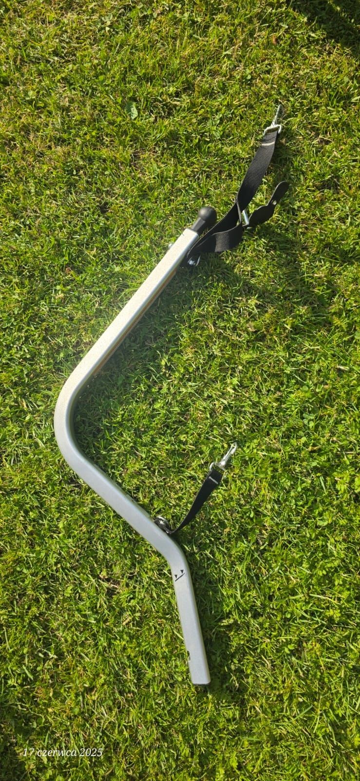 Przyczepka rowerowa dla dziecka THULE Chariot Cab 2 Cypress Green