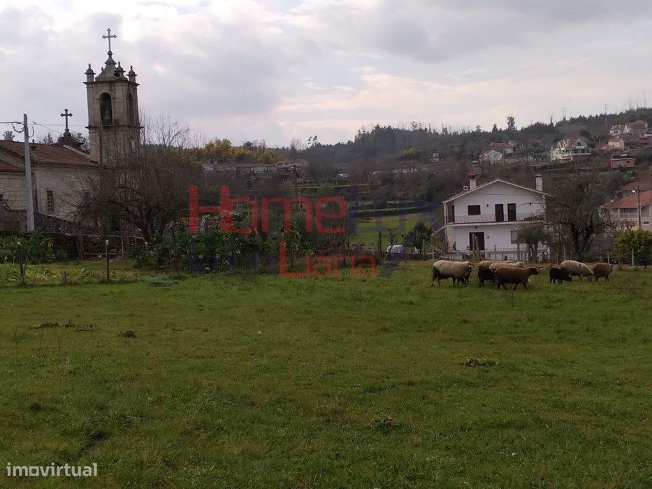 Lote Terreno Em Oliveira De Frades