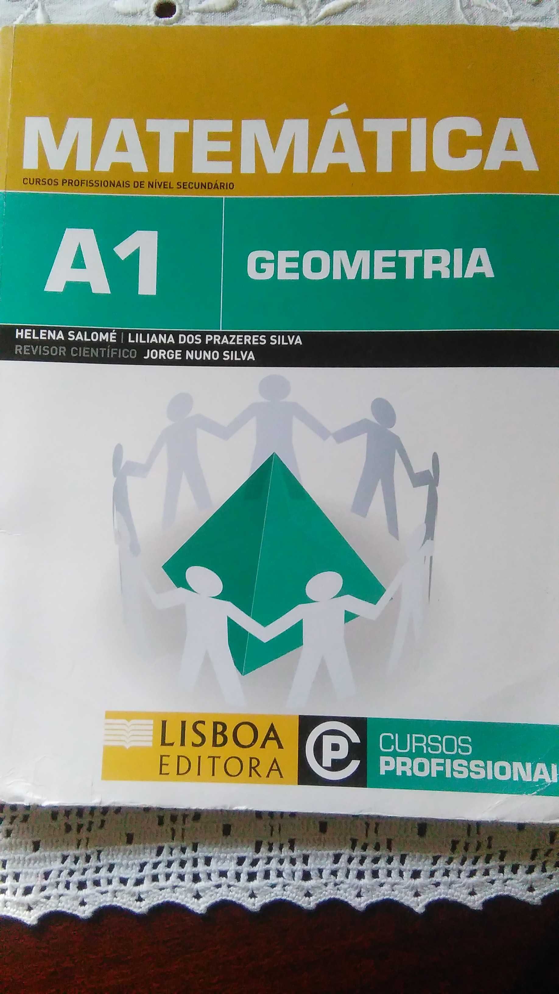 Livro Ensino Profissional Área de Matemática ( Geometria ) A-1