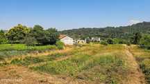 Terreno com viabilidade de construção em Vouzela