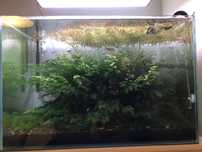Akwarium 150L, 70x46x46 opti white