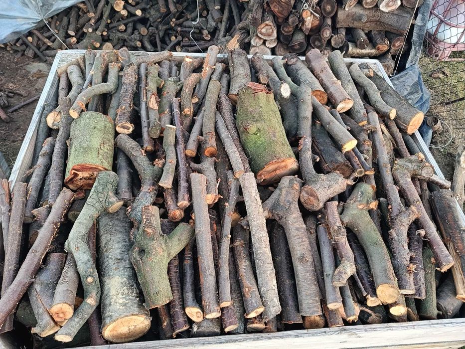 Drewno opałowe z drzew owocowych