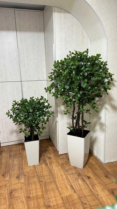 Декоративні штучні дерева вазони рослини