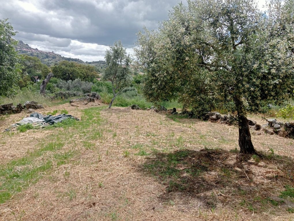 Monsanto Aldeia Histórica Venda de casa tipica