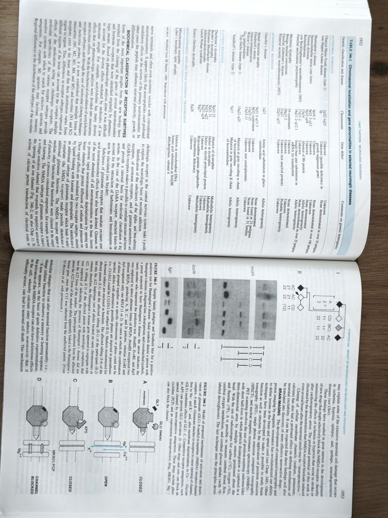 Harrison's Principles Of Internal Medicine 12th Edition
