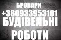 Весь комплекс будівельних робіт: фундамент, покрівля, благоустрій