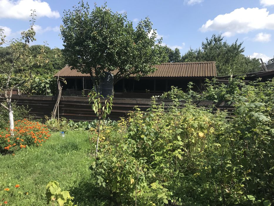 Продам будинок в Киівській області