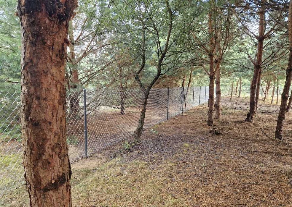 Siatka ogrodzeniowa ocynkowana pleciona