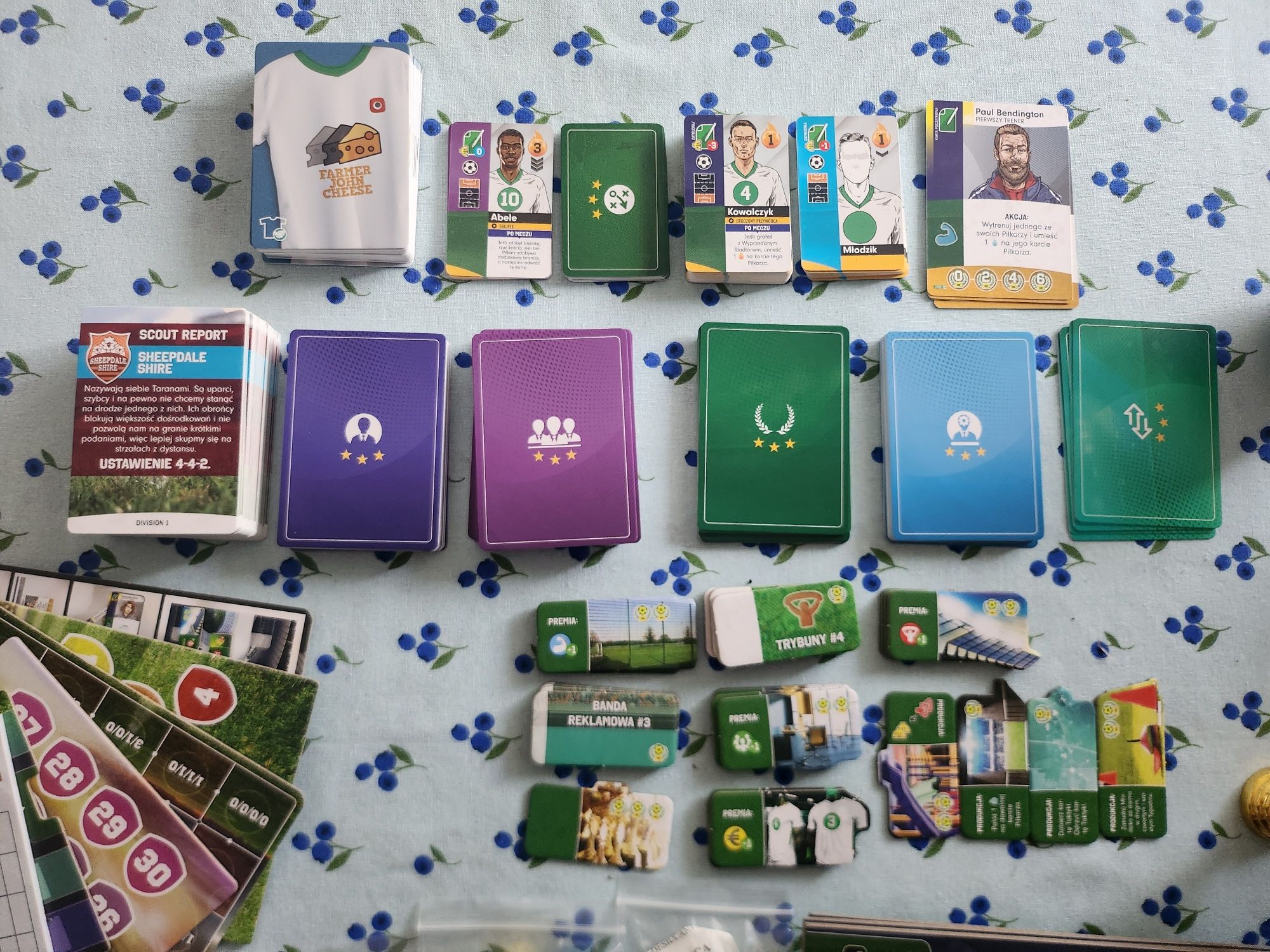 Eleven - Edycja Gamefound / Kickstarter (język polski)