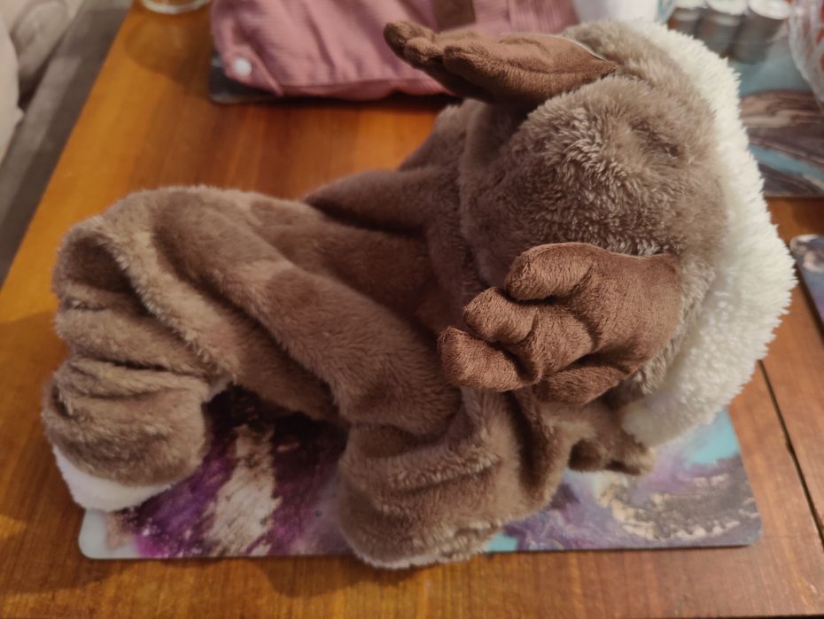 Ubranko dla małego psa