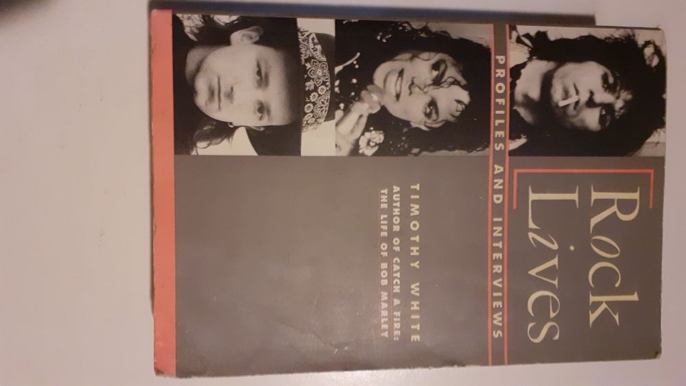 Rock'n'Roll em literatura