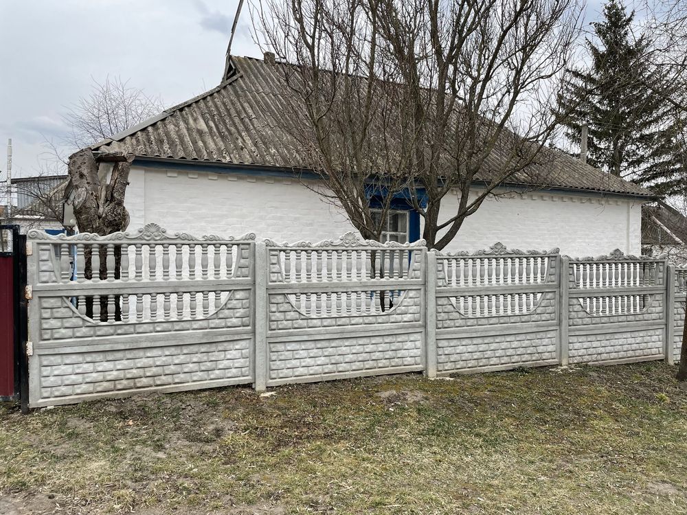Будинок в київській обл. с. Брилівка