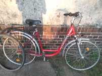 Rower Damski Pegasus