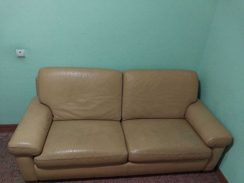 двомісний шкіряний диван