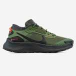 Кросівки Nike Pegasus Trail 3 Gore-Tex Green Black premium