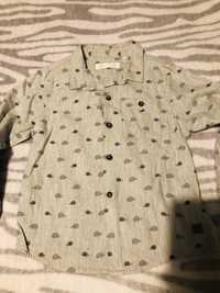 Koszula Zara 104 jeżyki