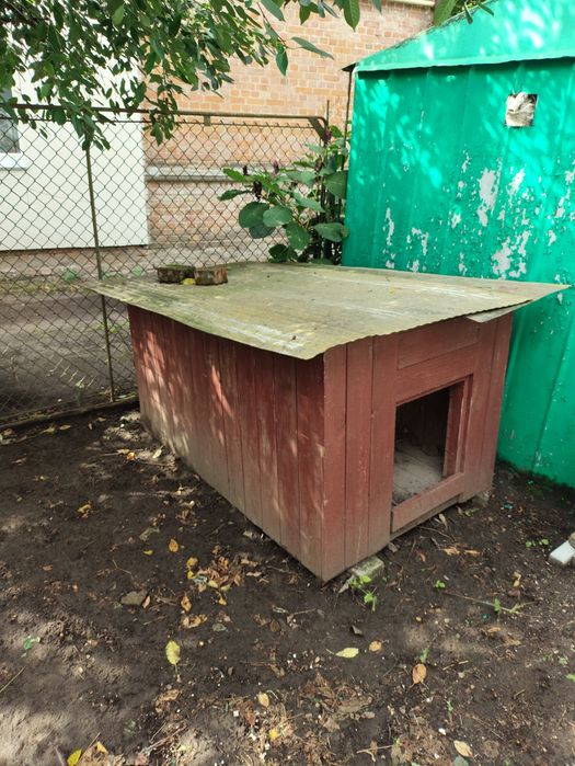 Буда для великої собаки