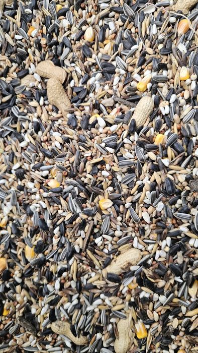 Karma dla papug PŚ 25 kg