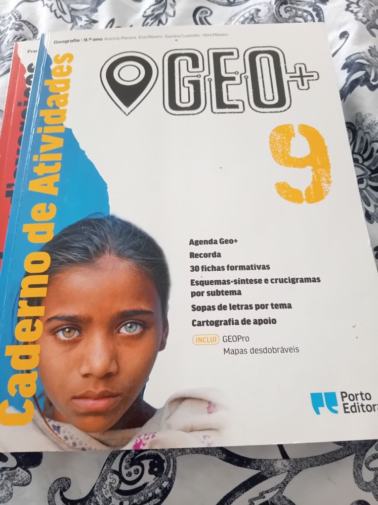 Cadernos de fichas 9°ano