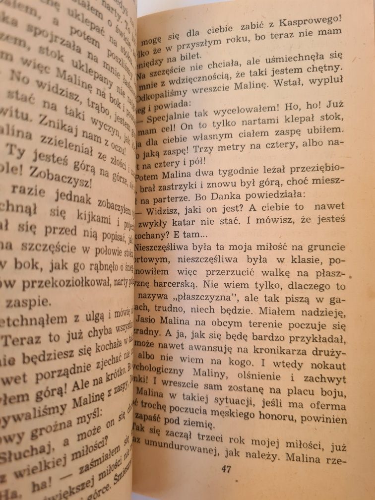Księżniczka i chłopcy - Janusz Domagalik