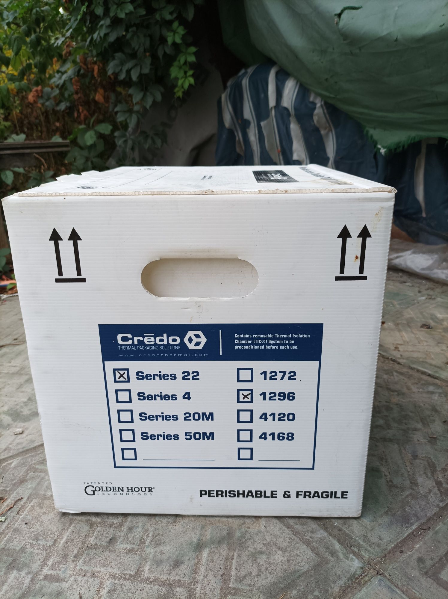 Credo Cube термо бокс для хранения сухого льда