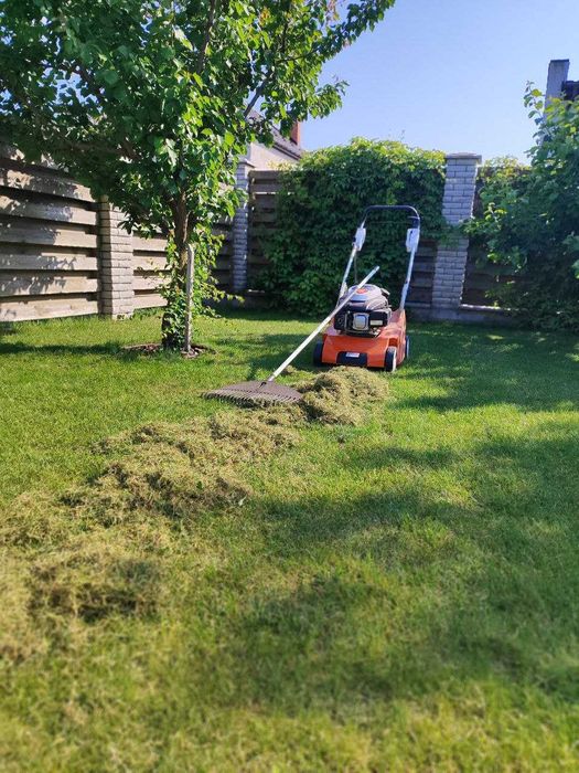 Газон,стрижка ,догляд