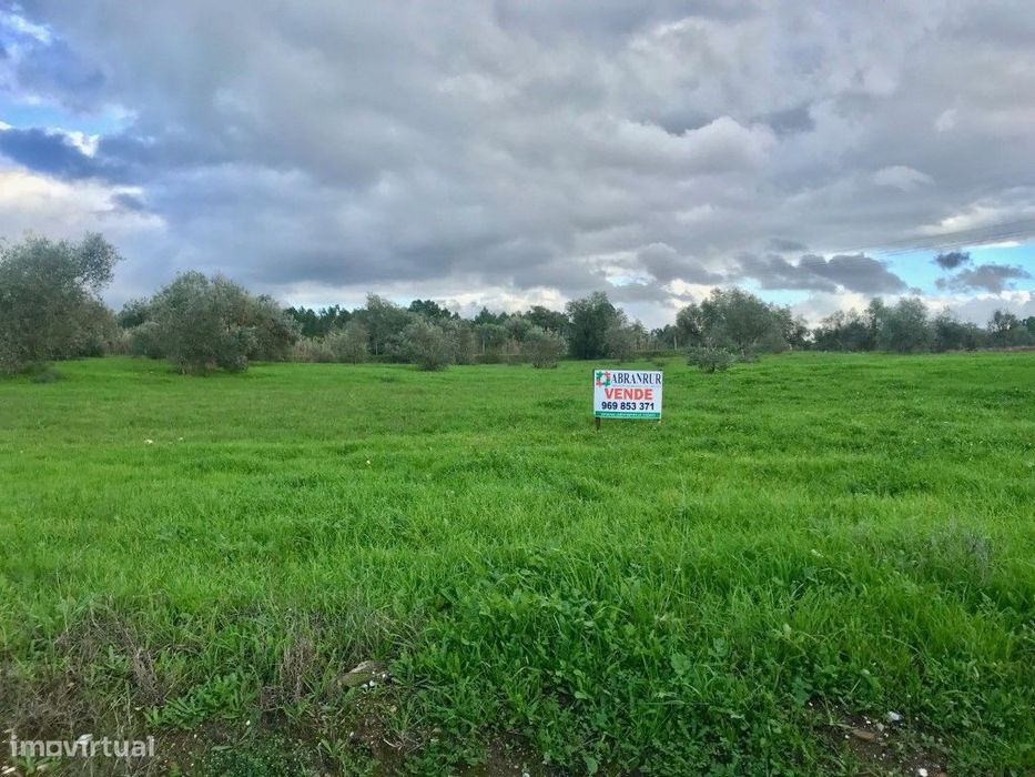 Quinta com vista sobre a cidade