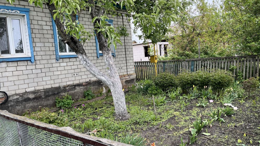 Продається будинок місто Бахмач