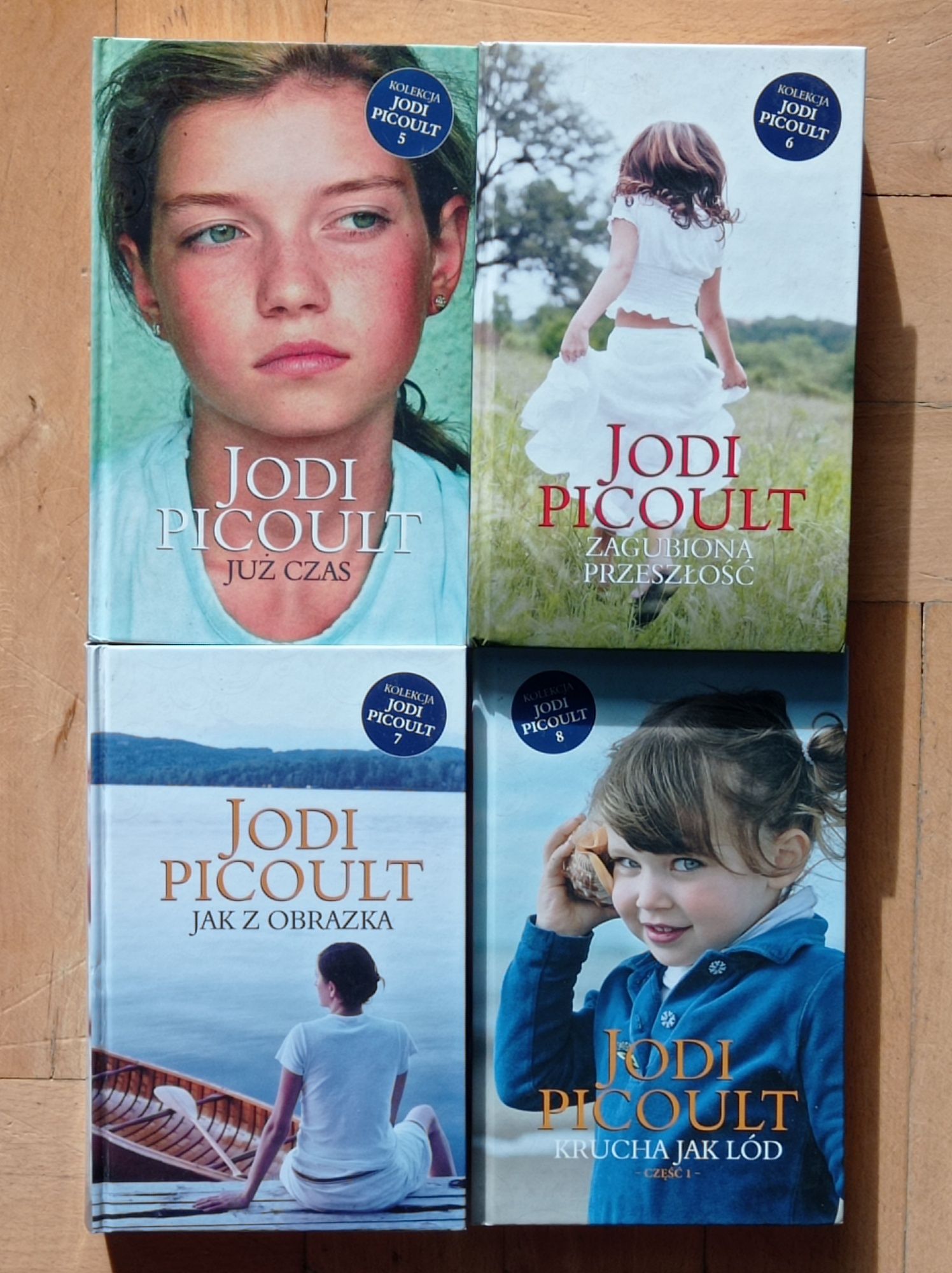 Jodi Picoult kolekcja 26 tomów komplet