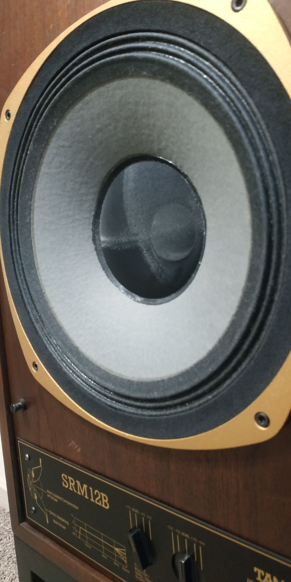 Акустика Tannoy SRM 12 B