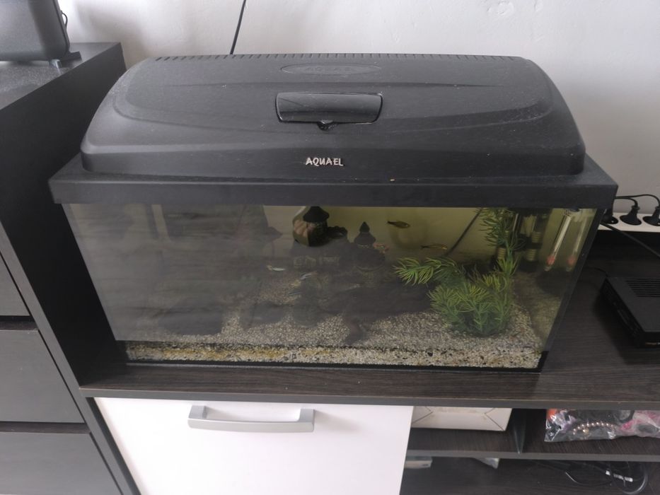 Sprzedam Akwarium 60l z całym zestawem.