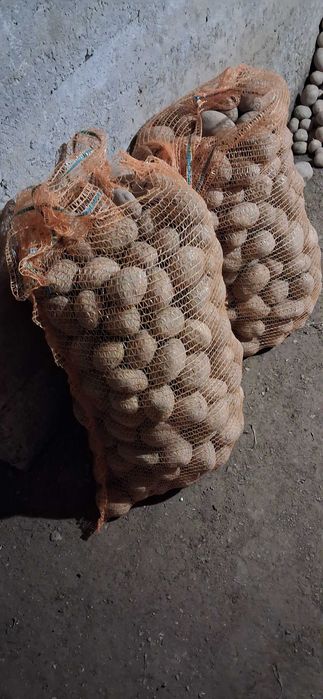 Ziemniaki 1zł dowóz