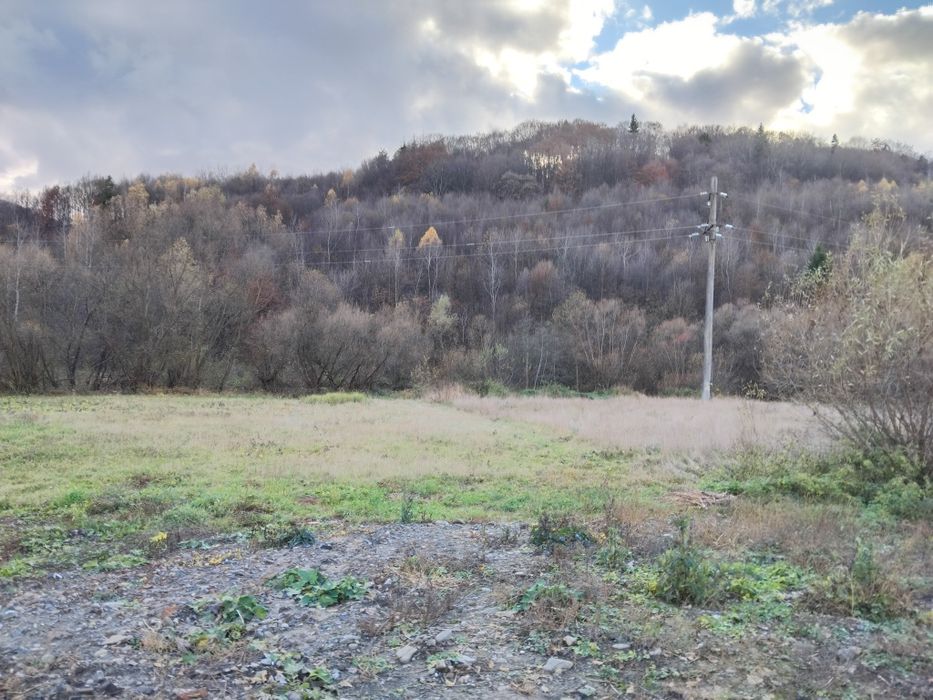 Продаю земельну ділянку у селі Сусково Закарпатської області