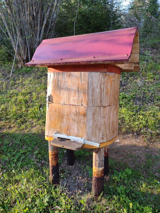 Вулик з бджоло сім'єю