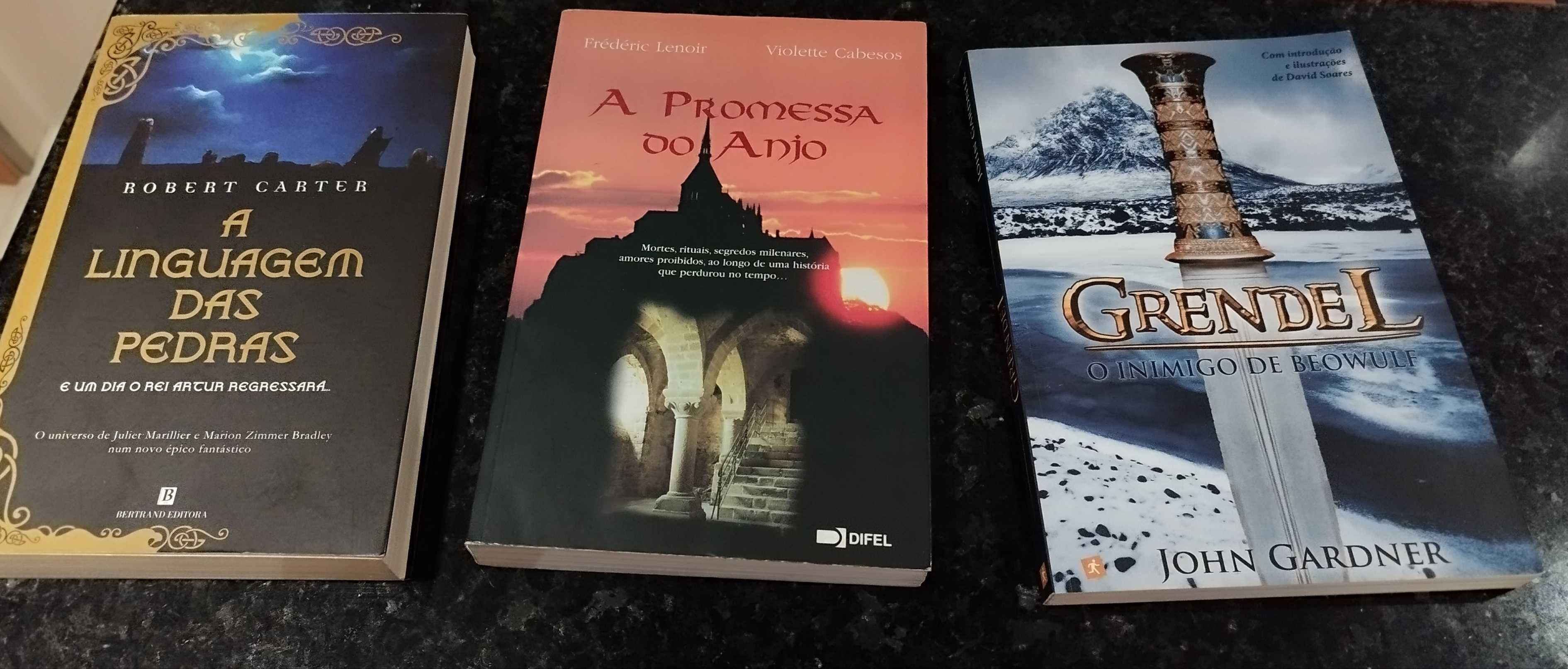 Livros variados excelente estado