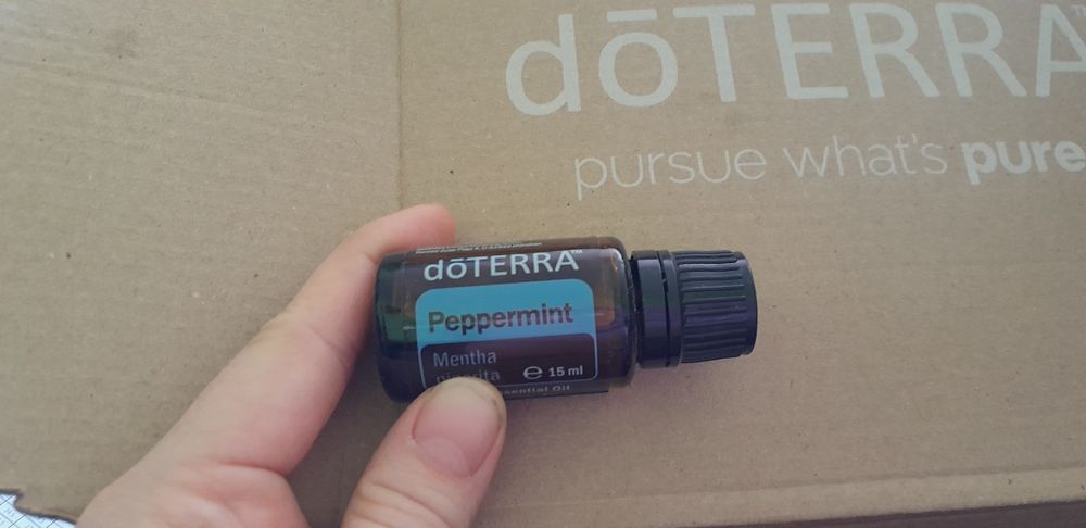 Olejek eteryczny Mięta pieprzowa 15 ml