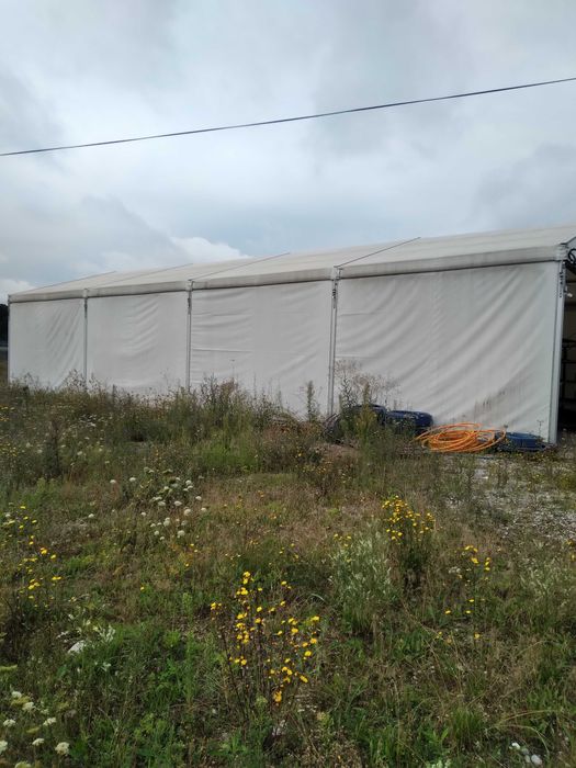 Sprzedam używaną hale namiotową Lisi Ogon