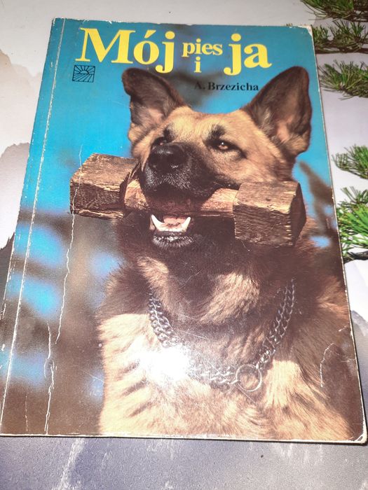 Antoni Brzezicha, Barbara Walczyna - Mój pies i ja